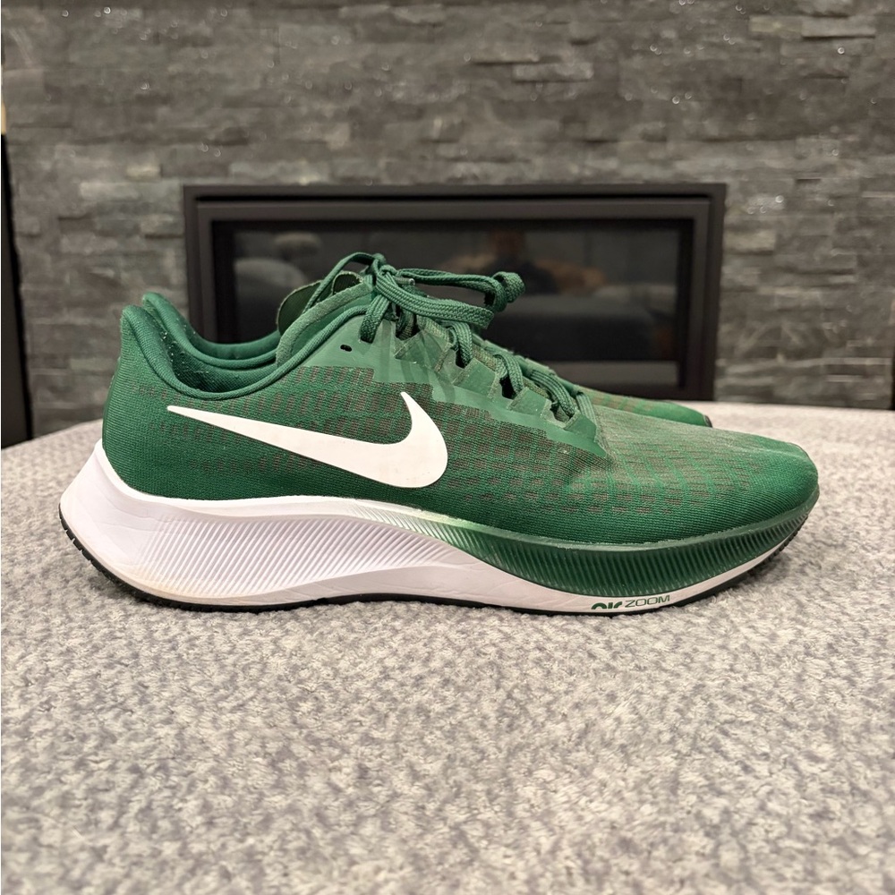 Nike Pegasus
